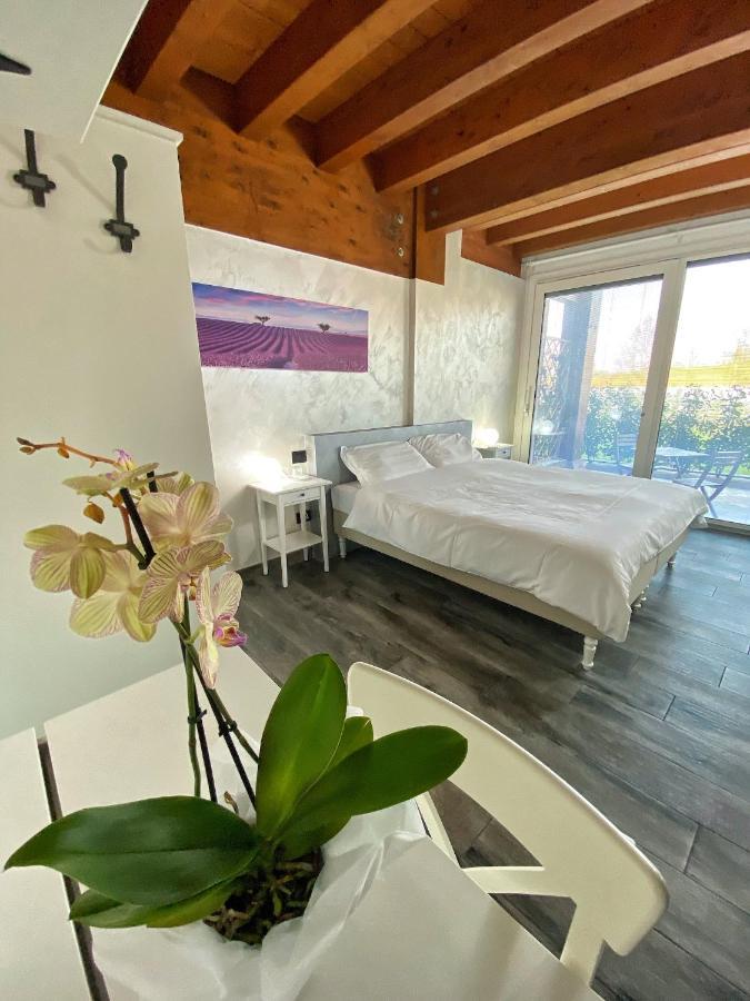 Agriturismo Albana 卡斯蒂廖内德莱斯蒂维耶雷 外观 照片