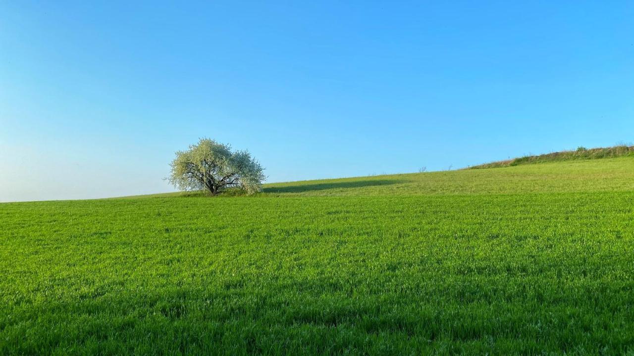 Agriturismo Albana 卡斯蒂廖内德莱斯蒂维耶雷 外观 照片