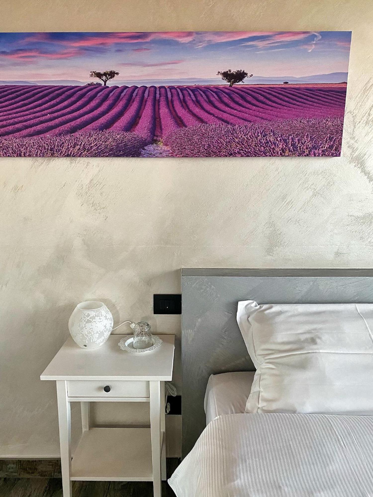 Agriturismo Albana 卡斯蒂廖内德莱斯蒂维耶雷 外观 照片