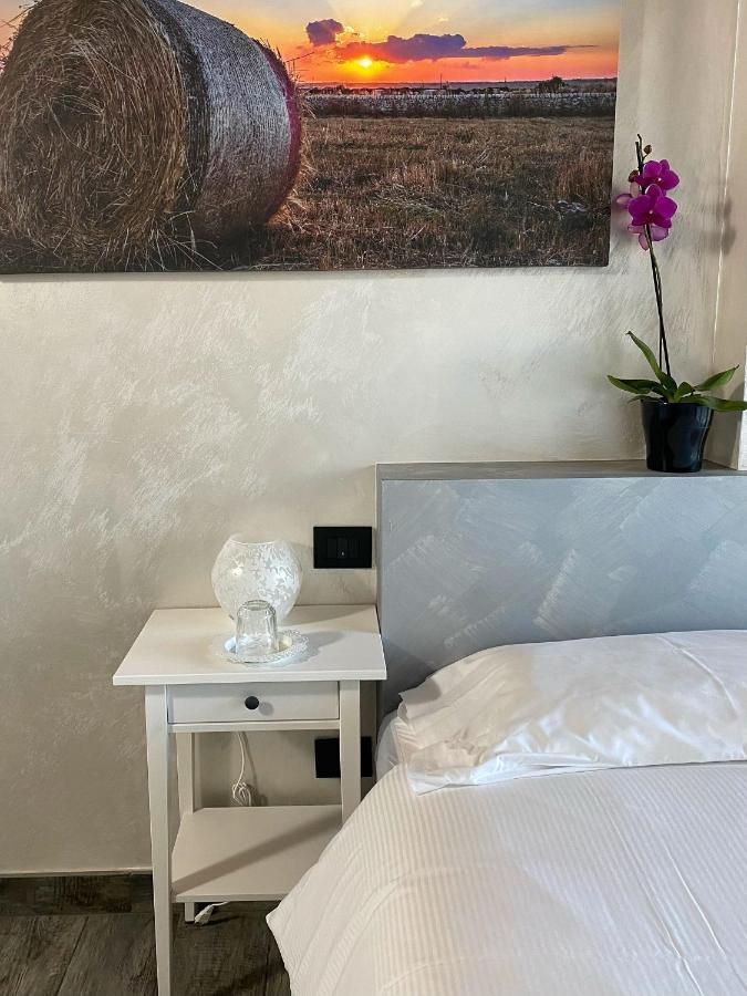 Agriturismo Albana 卡斯蒂廖内德莱斯蒂维耶雷 外观 照片